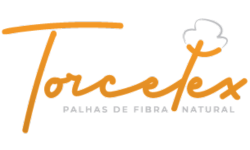 Logo de cliente da Connect Solutions — 4